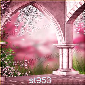 5'x8' ST953